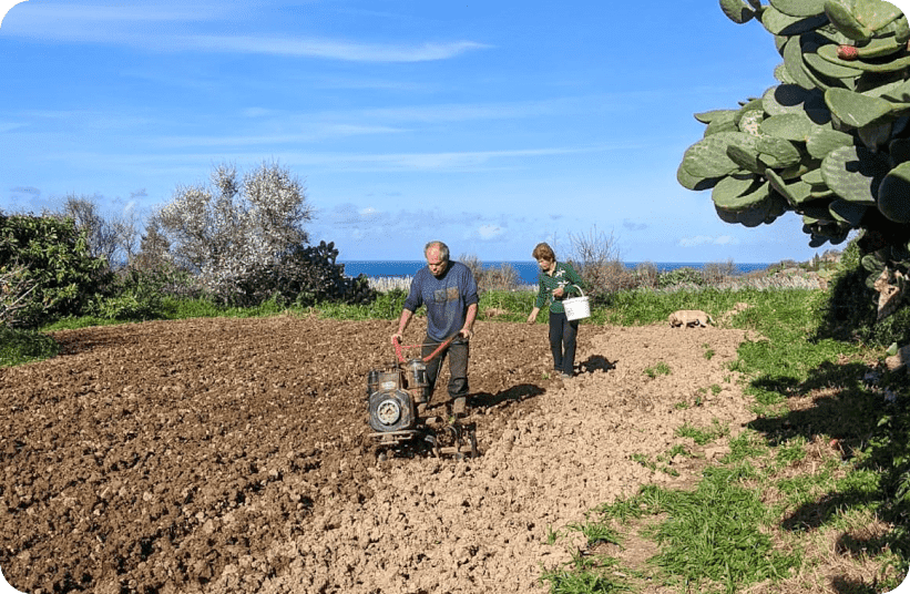 farmers plowing field